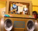 Bald können wir vier neue Bluey-Serien streamen