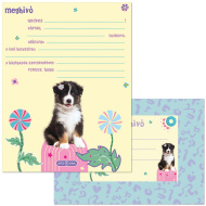Ars Una: Cute Animals – Einladungskarten-Set mit Aussie-Welpen, 10-teilig, mit Umschlägen