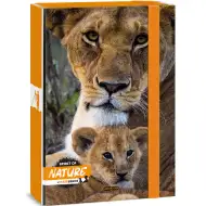 Ars Una: Spirit of Nature Löwe A4 Heftbox