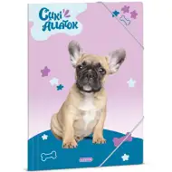 Ars Una: Süße Tiere – Französische Bulldogge A4 Sammelmappe mit Gummizug