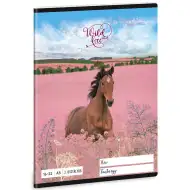 Ars Una: Wild and Free Pferde 2. Klasse liniertes Heft A/5