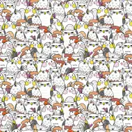 Cardex: Geschenkpapier mit fröhlichen Vogelmotiven, 100x70 cm