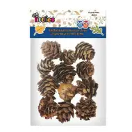 Getrocknete Kiefernzapfen 12er-Pack