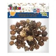 Getrockneter Kiefernzapfen 20g