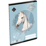 ICO: LizzySuli Wild Beauty Sport Club – liniertes Heft A5 für die 3. Klasse 12-32