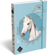 ICO: Lizzysuli Wild Beauty Sport Club gemusterte Heftbox A4