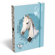 ICO: Lizzysuli Wild Beauty Sport Club gemusterte Heftbox A5