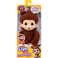 Little Live Pets: Mini Maki Chikki Cherry interaktives braunes Äffchen