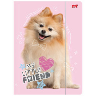 My Little Friend Sweet Pomeranian Gummibandmappe im A4-Format