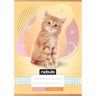 Nebulo: Kariertes Heft mit Katzenmuster A/5 27-32