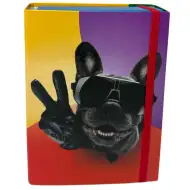 Nebulo: Heftbox A/5 Größe Cooler Bulldogge