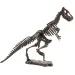 Archäologie-Set mit Dinosaurier-Motiv, in verschiedenen Ausführungen, 1 Stück