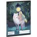 Ars Una: Northern Lights Hausaufgabenheft, 38 Blatt, A5