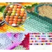 Diamantmalerei-Set: Gerbera Diamantmalerei-Set 10x15cm