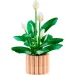 LEGO® Botanicals: Einblatt (11504)