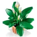 LEGO® Botanicals: Einblatt (11504)