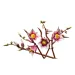 LEGO® Botanicals: Magnolienzweige (11510)