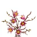 LEGO® Botanicals: Magnolienzweige (11510)