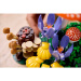 LEGO® Botanicals: Waldpilze (11505)