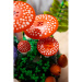 LEGO® Botanicals: Waldpilze (11505)