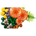 LEGO® Botanicals: Waldpilze (11505)