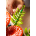 LEGO® Botanicals: Waldpilze (11505)