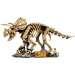 LEGO® Jurassic World™: Dinosaurier-Fossilien: Triceratops (77985)