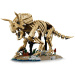LEGO® Jurassic World™: Dinosaurier-Fossilien: Triceratops (77985)