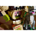 LEGO®: Shrek, Esel und der gestiefelte Kater (72423)