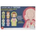 Lerne deinen Körper kennen Lernspiel – D-Toys