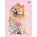 My Little Friend Sweet Pomeranian Gummibandmappe im A4-Format