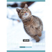 Nebulo: A4-geheftetes, liniertes Heft mit Katzenmotiv 81-32