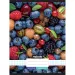Nebulo: Geheftetes kariertes Heft mit Obstmotiv 87-32 A/4