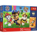Paw Patrol 30-teiliges Premium-Plus-Kinderpuzzle mit Poster - Trefl