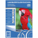 Spirit: Laminierfolie, 100er-Pack, 65 x 95 mm
