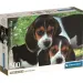Süße Welpen HQC 500-teiliges Compact-Puzzle - Clementoni